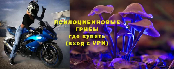 прущие крисы Приозерск
